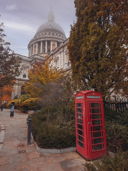 St Paul's Cathedral London Picture Board by Andrew Scott