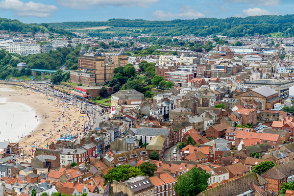 Scarborough from above Picture Board by Andrew Scott
