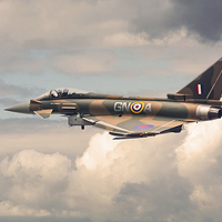 Buy canvas prints of  RAF Camouflage Typhoon Jet by Andrew Scott