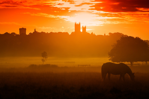 Lincoln Cathedral at Sunrise Picture Board by Andrew Scott