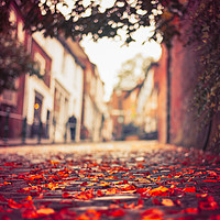 Buy canvas prints of Autumn leaves, Steep Hill, Lincoln by Andrew Scott