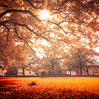 Buy canvas prints of Autumn garden, Lincoln Cathedral by Andrew Scott