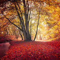 Buy canvas prints of Autumn, Louth by Andrew Scott