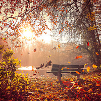 Buy canvas prints of A beautiful autumn day at Hartsholme, Lincoln by Andrew Scott