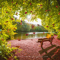 Buy canvas prints of Autumn leaves falling at Hartsholme Park, Lincoln by Andrew Scott