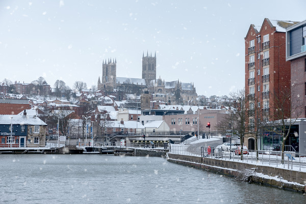 Lincoln in the snow Picture Board by Andrew Scott