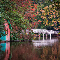 Buy canvas prints of The White Bridge, Hartsholme Country Park, Lincoln by Andrew Scott