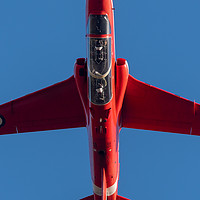 Buy canvas prints of RAF Red arrow jet by Andrew Scott