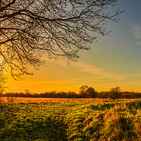 Buy canvas prints of Sunset - North Hykeham, Lincoln  by Andrew Scott