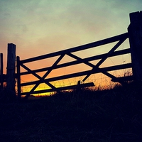 Buy canvas prints of Broken gate at sunset by David Cockell
