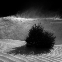 Buy canvas prints of  Sand Storm by Julian Cook