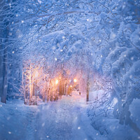 Buy canvas prints of Snowy evening by Svetlana Korneliuk