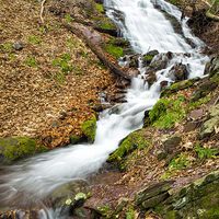 Buy canvas prints of Waterfall by Paul Fell