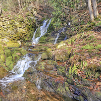 Buy canvas prints of Creek Falls by Paul Fell