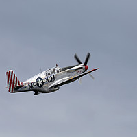 Buy canvas prints of P-51 C Mustang  by Paul Fell
