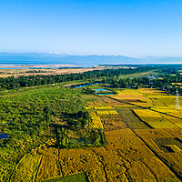 Buy canvas prints of Aerial view of paddy farmland by Ambir Tolang