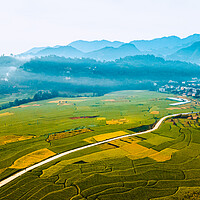 Buy canvas prints of aerial view of paddy farmland by Ambir Tolang