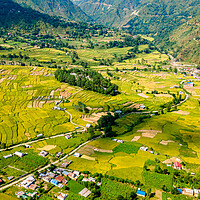 Buy canvas prints of aerial  view of paddy farmland by Ambir Tolang