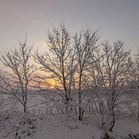 Buy canvas prints of  Sunrise with Snowing by Ambir Tolang