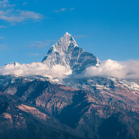 Buy canvas prints of Mount Fishtail by Ambir Tolang