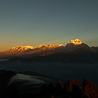 Buy canvas prints of Shining Golden Mount Annapurna by Ambir Tolang