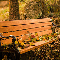 Buy canvas prints of waiting Autumn Bench by Ambir Tolang