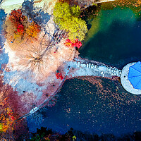 Buy canvas prints of autumn season aerial view by Ambir Tolang