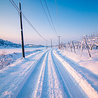 Buy canvas prints of snow covered road by Ambir Tolang