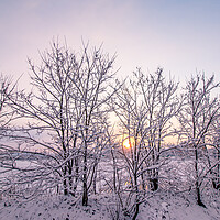 Buy canvas prints of Winter Snowfall by Ambir Tolang