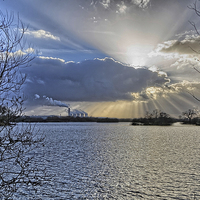 Buy canvas prints of  Attenborough Nature Reserve at Dusk by William Robson