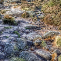 Buy canvas prints of  Rocky road by Heidi Woodger