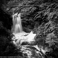 Buy canvas prints of Blakeley Clough Fall by Gary Turner