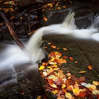 Buy canvas prints of Woodland Waterfall by Gary Turner