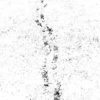 Buy canvas prints of Footprints in snowy field by Gary Turner