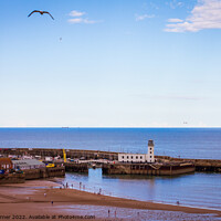 Buy canvas prints of View over Scarborough South Bay Lighthouse by Gary Turner