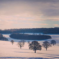Buy canvas prints of Winter Field and Trees - Colour by Gary Turner
