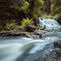 Buy canvas prints of Goitstock MIll Waterfall  by Gary Turner