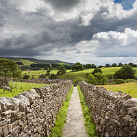 Buy canvas prints of Through the dry stone walls by Gary Turner