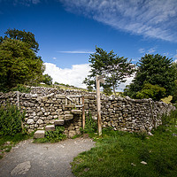 Buy canvas prints of Over the stile by Gary Turner