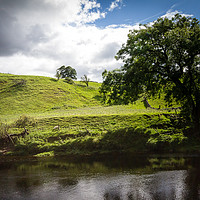 Buy canvas prints of Grazing By The River Wharfe by Gary Turner