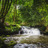 Buy canvas prints of Goitstock Woods Falls by Gary Turner