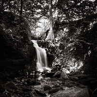 Buy canvas prints of Clough House Falls by Gary Turner