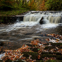 Buy canvas prints of Hebden Water Falls II by Gary Turner