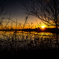 Buy canvas prints of Bramble Sunset by Gary Turner