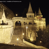 Buy canvas prints of Budapest Royal Palace at night by Adrian Beese