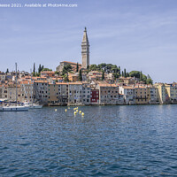 Buy canvas prints of Rovinj Croatia outer harbour with church on the hill by Adrian Beese
