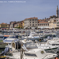 Buy canvas prints of Rovinj Croatia inner harbour with colourful buildings and church by Adrian Beese