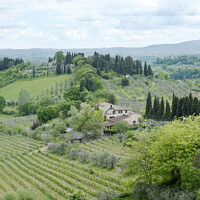 Buy canvas prints of Tuscan Villa and vineyards by Adrian Beese