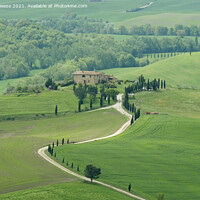 Buy canvas prints of A Tuscan Farm in lush green countryside by Adrian Beese