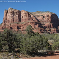 Buy canvas prints of Red Rock Trees Mountain, Sedona by Adrian Beese